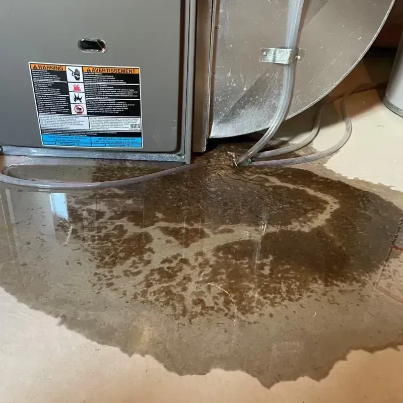 Appliance Leak Cleanup in Brunswick County, VA